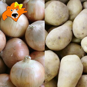  ؃Zbg [NC 10kg  ʂ˂ 10kg v 20kg LTCY kC Ⴊ [NC kC ܂˂ / ^}lM / ʔK Zbg  Zbg lߍ킹