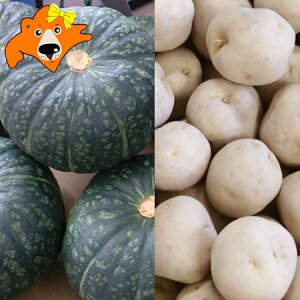  ؃Zbg j݂ 10kg  ڂ 10kg v 20kg kC 񂵂Ⴍ Z J{`  Zbg lߍ킹