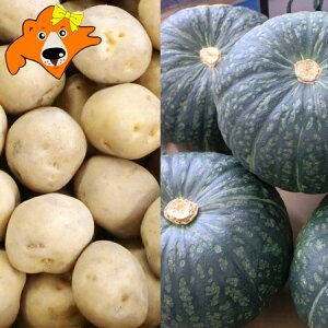  ؃Zbg  10kg  ڂ 10kg v 20kg kC k L^AJ J{` Z  Zbg lߍ킹