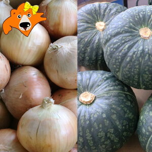  ؃Zbg ڂ 10kg  ʂ˂ 10kg v20kg  Zbg lߍ킹 kCY J{` Z ܂˂ ʔK