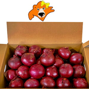  ܂˂ A[[bh 10kg MTCY kC kY  xǖY ԋʂ˂  Ԃ ʂ˂ 1(1P[X)  ʂ˂ / ^}lM / ʔK 