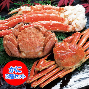 ^o YC ъI  OIZbg  ΂ɋr уKjp YCKjp 3I Zbg  YHi Jj