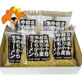 生ラーメン 送料無料 生 ラーメン 北海道産小麦 ゆめちから 生ラーメン 生麺 1袋(2人前)×5袋 麺のみ
