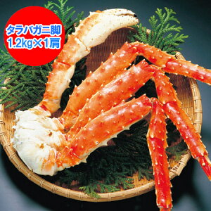 @^oKjr  {C ^oKj l ΂ɋr ^o 1.2kg×1 ^oKj r / ΂ r / ΊI    YHi Jj ^oKj Mtg