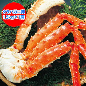 @^oKj  ^oKjr  {C ^oKj l ΂ɋr ^oKj 1.5kg ×1 ^oKj r / ΂ r / ΊI    YHi 