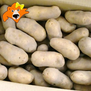  kC Ⴊ  [NC kCY Ⴊ [NC 10kg LMTCY ( M ) WKC kC 