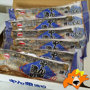 kC f jV  fɂ kCH ʂɂ ʂ  6 O ~̃Mtg