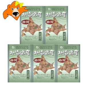 kC ԓ Ô[ ԊÔ[ kC ԓ Ô[ 5 JA݂炢Y ͂ ܂ȂƂ XC[c َq aَq Ô[