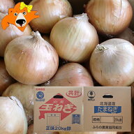 随時発送中 北海道 玉ねぎ 20kg 送料無料 たまねぎ 20kg 2Lサイズ 共選 タマネギ 野菜 たまねぎ 北海道産…