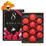 随時発送中 フルーツトマト 送料無料 フルーツ トマト はるかエイト 化粧箱入 10〜15玉前後 北海道産 と…