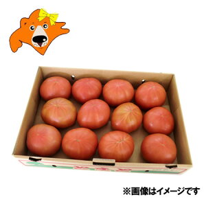  l ( т ) Y Y g}g  Yg}g 2LTCY kC Ƃ܂ 낤 g}g 4kg ( 4L )   g}g H  g}g