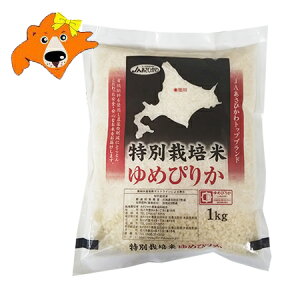 @Vā@ kCY ߂҂肩  kC ߂҂肩 kCY sJ 1kg( 1000g )×1  kCY  ߂҂肩 ʍ͔|   ͂ 邿
