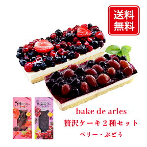 XC[cMtg f َq Ⓚ P[L  ґ P[L 2 Zbg(x[ Ԃǂ) Mtg Hו v[g 蕨  mَq Mtg Ԃj kC bake de arles 