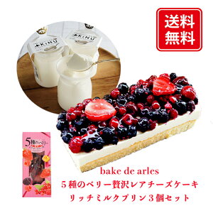XC[cMtg f َq Ⓚ P[L  v Zbg lߍ킹 5̃x[ ґ A`[YP[L b`~N v 3Zbg  kC bake de arles Yn