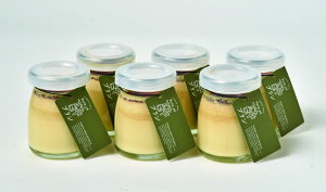 prin.cev6Zbg YU-F1 kCvMtg XC[cMtg fU[gMtg ґXC[c kC kCMtg kCYMtg Ε NX}X v~AM