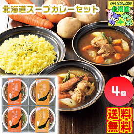 北海道スープカレーセット 北海道スープカレー ご当地カレーギフト 北海道グルメギフト 高級レトルトカレー 贅沢グルメギフト 北海道お取り寄せ 北海道限定ギフト 北海道産直ギフト お歳暮 クリスマス FUJI