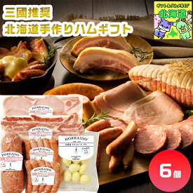 三國推奨　北海道手作りハムギフト MN-D 北海道ハムギフト 北海道肉ギフト 高級グルメギフト 贅沢肉ギフト 北海道お取り寄せグルメ 北の味覚ギフト 北海道限定ギフト 北海道産直ギフト お歳暮 クリスマス FUJI