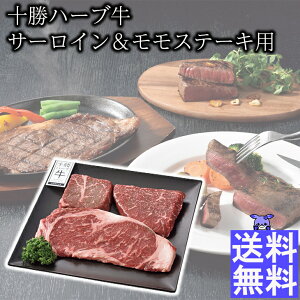 \n[u T[CXe[Lp \n[u Xe[LMtg kCaMtg Mtg ґOMtg kC kCMtg k̖oMtg kCY