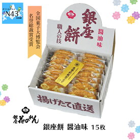 銀座花のれん 銀座餅 醤油味 15枚 倉出 揚げせんべい 米菓 職人の技 甘辛醤油 専用箱 ギフト 贈り物 贈答 内祝い 結婚祝い 出産祝い お返し FUJI 食品ギフト お取り寄せグルメ お歳暮 クリスマス