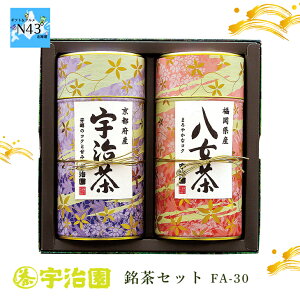 F Zbg FA-30 qo {  ق  Ȋʓ Mtg 蕨  j j oYj Ԃ FUJI HiMtg 񂹃O Ε