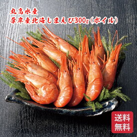 厚岸産北海しまえび300g(ボイル) 北海道しまえび 厚岸えびギフト 北海道海鮮ギフト ご当地グルメギフト 高級海鮮セット 北海道お取り寄せ 北海道限定ギフト 北海道産直ギフト 北の味覚ギフト お歳暮 クリスマス FUJI