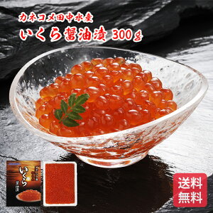 ݖ300g kC kCݖЂ kCMtg nCNMtg Zbg kC kCMtg kCYMtg k̖oMtg Ε NX