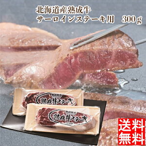 kCYn T[CXe[Lp 300g kCn Xe[LMtg kCaMtg Mtg ґOMtg kC kCMtg k̖oMtg kCY