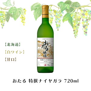 C Mtg C kC  iCK 720mlCÌ C  uhE Ԃǂ \ FUJI HiMtg 񂹃O Ε