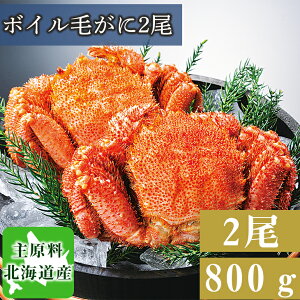 6-12kCY т {C  уKj Z ɖX Mtg т2 蕨  j j oYj Ԃ 񂹃O w  j ۊC j v[g Mtg 