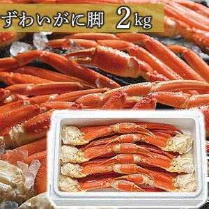 6-12肩 I Hׂ₷ H ȒP Mtg 킢 r 2k 蕨  j j oYj Ԃ 񂹃O w  j ۊC j v[g Mtg HiMt