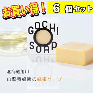 ܂Ƃߔ胁[  |Xg YΌ  GOCHI SOAP RH{I̖I\[v }[FX  Ό Mtg 蕨 a {fB[PA Ό Mtg 