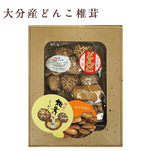 Y  }g 啪Y ǂ񂱒ő Zbg FD-20 Mtg j v[g  qo O ő Y ǂ j  FUJI HiMtg 񂹃O Ε