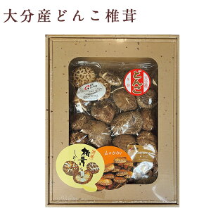 Y }g 啪Y ǂ񂱒ő Zbg FD-30 Mtg j v[g  qo O ő Y FUJI HiMtg 񂹃O Ε