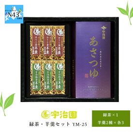羊羹 ギフト お茶 和菓子 詰め合わせ 宇治園 緑茶羊羹セット YM-25 倉出 お茶 ギフト 高級 お茶 緑茶 羊羹 お茶菓子 茶葉 セット 玉露 茶 詰合せ 内祝い 出産内祝い お祝い FUJI 食品ギフト お取り寄せグルメ お歳暮 クリスマス