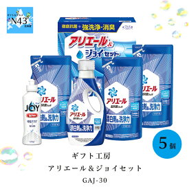 ギフト工房 アリエール＆ジョイセット GAJ-30 FUJI 倉出 洗濯 洗剤 食器洗剤 ジョイ ギフト 贈り物 贈答 内祝い 結婚祝い 出産祝い お返し 母の日 こどもの日