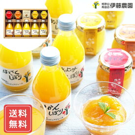 和歌山 伊藤農園 柑橘ジュース＆寒天ジュレ 詰め合わせセット 無添加ゼリー ジュース 詰め合わせギフト シイレル お歳暮 クリスマス