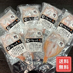 ノドグロ のどぐろ 干物 一夜干し 取り寄せ のどぐろ一夜干し 7尾 送料無料 詰合せ 詰め合わせ シイレル 食品ギフト お取り寄せグルメ お歳暮
