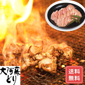 焼肉セット 焼肉 焼肉ギフト 食べ比べ 大阿蘇どり 焼肉 B 送料無料 詰合せ 詰め合わせ シイレル 食品ギフト お取り寄せグルメ お歳暮