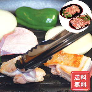 ēZbg ē ēMtg Hה 刢hǂ ē C  l lߍ킹 VC HiMtg 񂹃O Ε