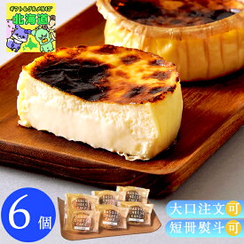 バスクチーズケーキ 6個 濃厚 チーズケーキ 個 みれい菓 ケーキ 個 送料無料 グルメ 冷凍 ギフト バスク チーズケーキい お返し FUJI 御中元 御歳暮 お歳暮 クリスマス