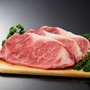 T[CXe[L Y uh јa  Xe[L Mtg ϔ јaT[CXe[L VC HiMtg 񂹃O Ε NX}X