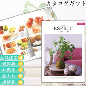 J^OMtg j Mtg  jԂ EFfBOMtg uC_Mtg Ԃ v[g ̌  Iׂ J^Oi J^OMtg GXv Jg[ 