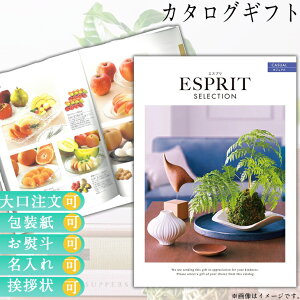 J^OMtg j Mtg uC_Mtg o o j Ԃ v[g O Luh ̌  Iׂ J^Oi J^OMtg GXv JWA 