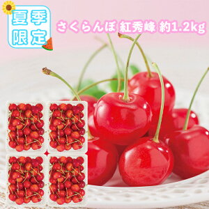 y7{`7{oׁz gG 1.2kg Yn   TN{ ʕ Mtg t[c j Ԃ oYj N yY Ε ǂ̓ FUJI Hi