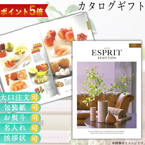 15OFFN[|sJ^OMtg j  jԂ EFfBOMtg uC_Mtg Ԃ Ԃ v[g O J^Oi J^OMtg GXv [h 