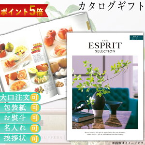 |Cg5{J^OMtg j Mtg  uC_Mtg Ԃ Ԃ O Luh ̌  Iׂ J^Oi J^OMtg GXv W[V[  n