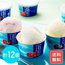 アイス アイスクリーム 詰め合わせ お土産 おしゃれ 誕生日 ギフト 天然水で作ったアイス 計12個(3種各4個) 送料無料 お年賀 シイレル 食品ギフト お取り寄せグルメ お歳暮 クリスマス