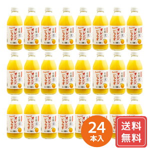 W[X lߍ킹 Mtg }S[ lߍ킹Mtg L@IWW[X 250ml×24{  VC HiMtg 񂹃O Ε