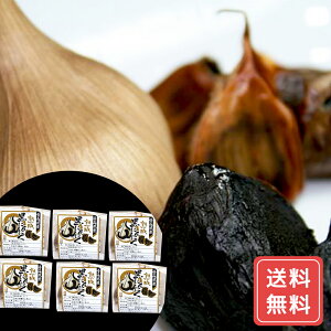 jjN ɂɂ X XY nɂɂ MTCY×6×2  N VC HiMtg 񂹃O Ε