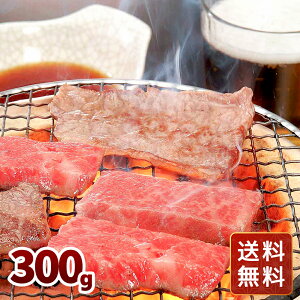  ē Ⓚ Y   I[u (]) ē 300g  N VC HiMtg 񂹃O Ε